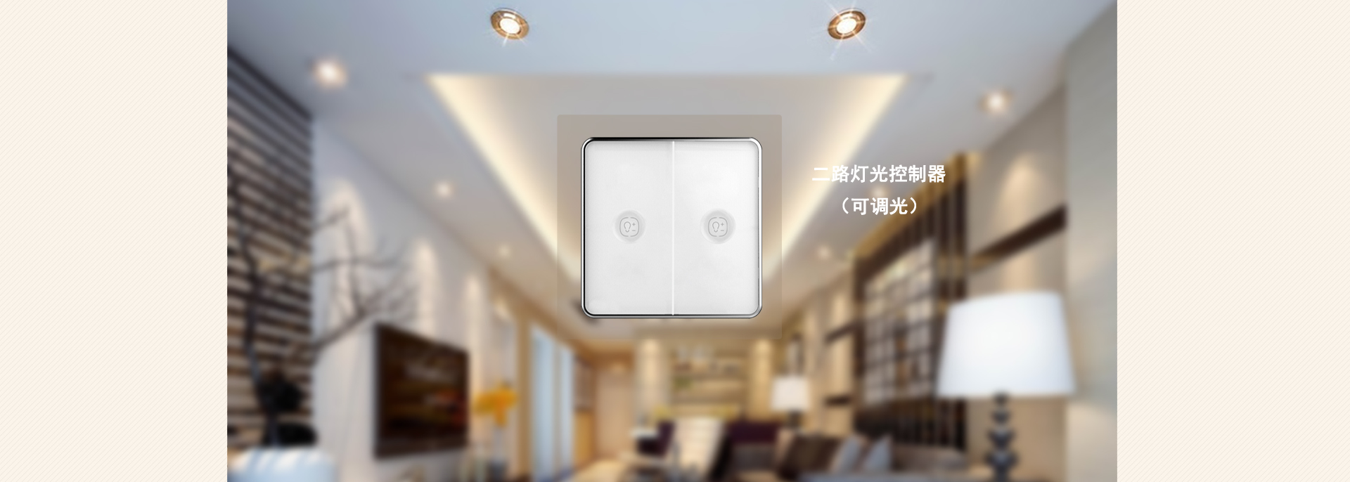 PRO-D2-01 二路灯光控制器 可调光