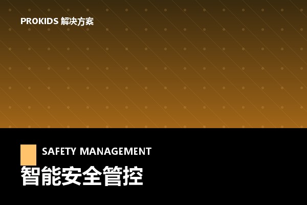 智能安全管控解决方案